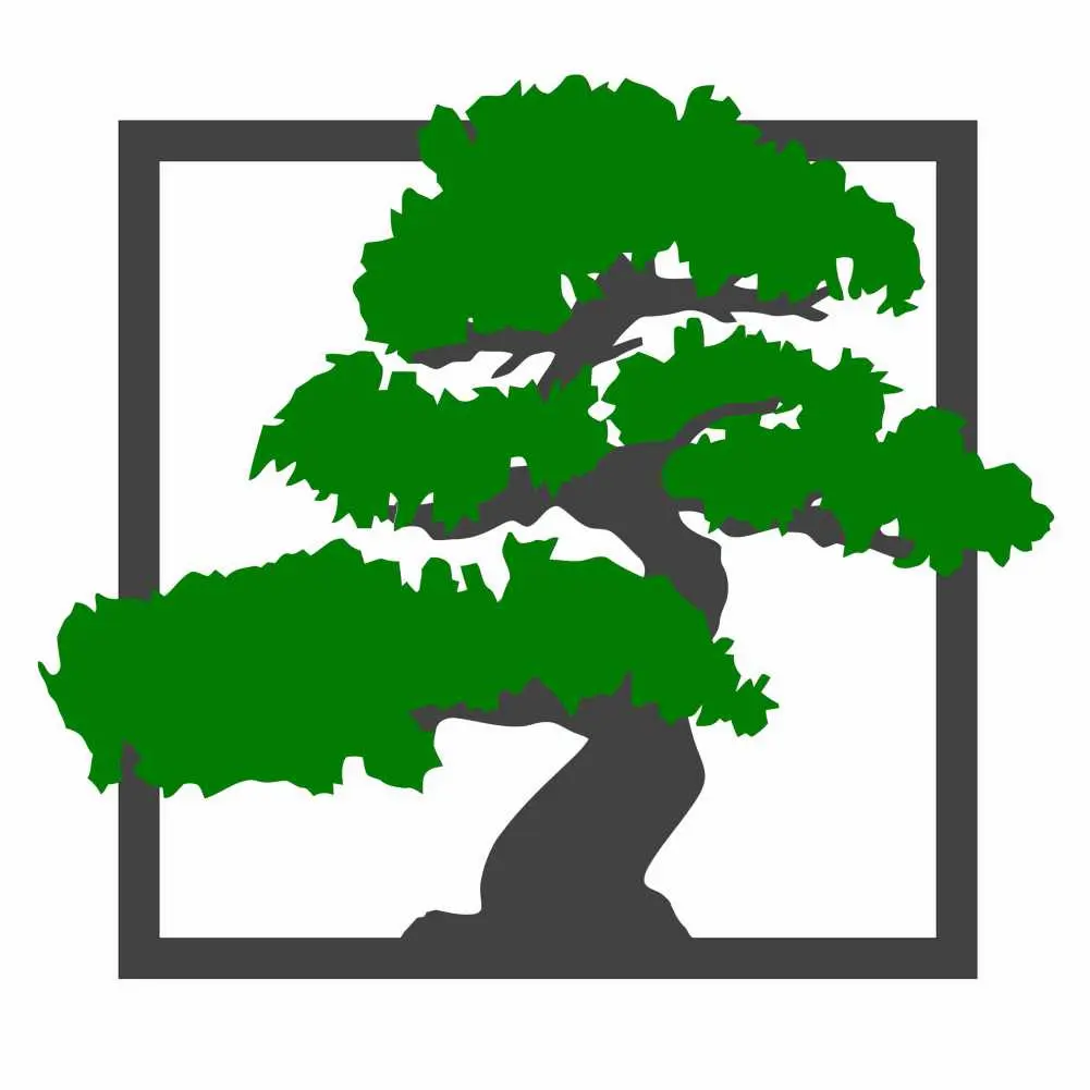 Mini bonsai tree disegno base